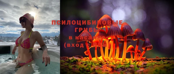 гидра Саяногорск