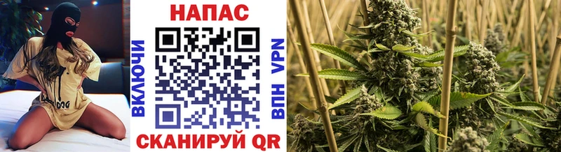 Бошки марихуана VHQ  Абаза 